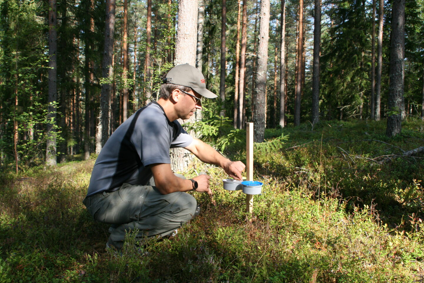 Tutkija Janne Heliölä tarkastelee värimaljapyydystä.