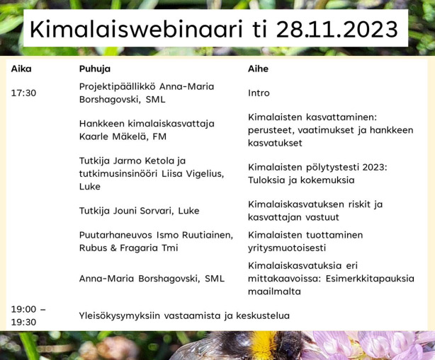 Kimalaiswebinaarin ohjelma