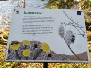 Erakkomehiläisteksti